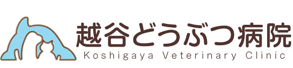 越谷どうぶつ病院